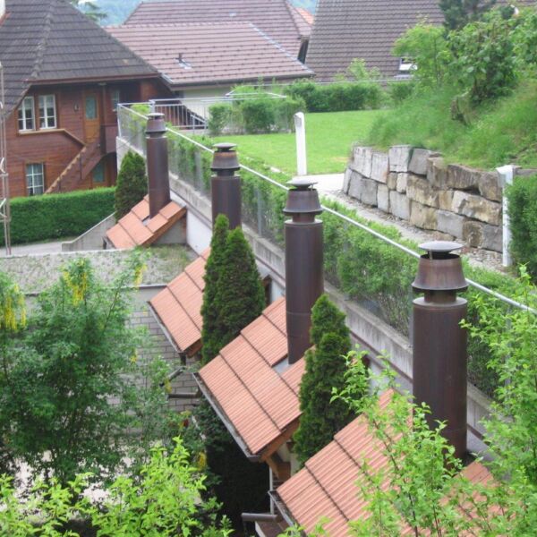 Start Holzfeuerungskontrolle und Meldetool für Neuanlagen in Basel-Landschaft